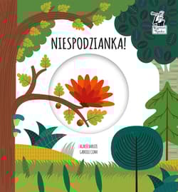 Galeria - zdjęcie nr. 1 - Niespodzianka Magiczne koło Kapitan Nauka