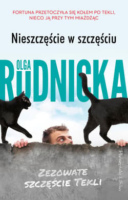 Nieszczęście w szczęściu - ebook - Olga Rudnicka