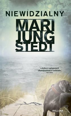 Niewidzialny - Jungstedt Mari