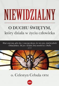 Niewidzialny O Duchu Świętym, który działa w życiu człowieka - Celestyn Cebula