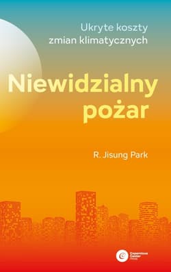 Niewidzialny pożar - ebook