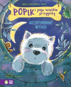 Niezapomniany wyjazd. Popik i jego wielkie przygody - Aniela Cholewińska-Szkolik