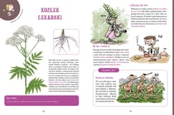 Galeria - zdjęcie nr. 2 - Niezłe ziółka. Rośliny, które śmierdzą, plują, drapią i puszczają bąki