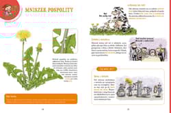 Galeria - zdjęcie nr. 3 - Niezłe ziółka. Rośliny, które śmierdzą, plują, drapią i puszczają bąki