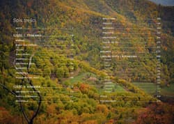 Galeria - zdjęcie nr. 5 - Nieznane Toskania i Romania Gdzie Dante mówi dobranocc