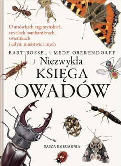 Niezwykła księga owadów - Bart Rossel