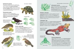 Galeria - zdjęcie nr. 3 - Niezwykłe miejsca na Ziemi Atlas bioróżnorodności