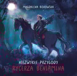 Niezwykłe przygody rycerza Beniamina - Borowska Magdalena