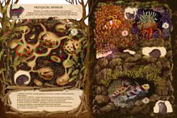 Galeria - zdjęcie nr. 3 - Niezwykłe przyjaźnie W świecie roślin i zwierząt