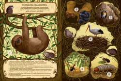 Galeria - zdjęcie nr. 4 - Niezwykłe przyjaźnie W świecie roślin i zwierząt