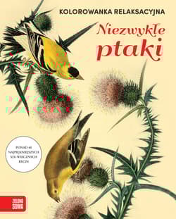 Niezwykłe ptaki. Kolorowanka relaksacyjna - Opracowanie Zbiorowe