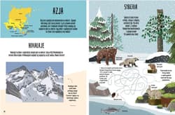 Galeria - zdjęcie nr. 5 - Niezwykły świat zwierząt. Zagadki, labirynty i inne zabawy