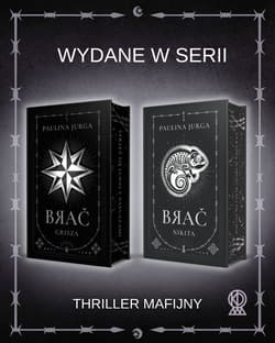 Galeria - zdjęcie nr. 3 - Nikita. Brać (ilustrowane brzegi)
