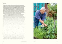 Galeria - zdjęcie nr. 3 - No Dig. Bez przekopywania
