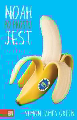 Noah po prostu jest - Green Simon James