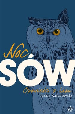 Noc sów wyd. 2026