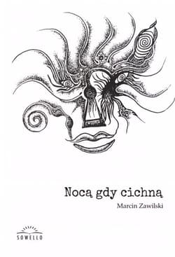 Nocą, gdy cichną - Marcin Zawilski