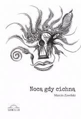 Nocą, gdy cichną - Marcin Zawilski
