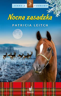 Nocna zasadzka - ebook