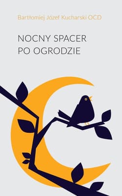 Nocny spacer po ogrodzie - Kucharski Bartłomiej Józef