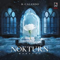 Nokturn - audiobook