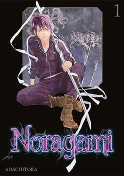 Noragami. Tom 1 wyd. zbiorcze - Adachitoka