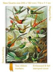Notatnik quatro linia TW Kolibry Ernst Haeckel