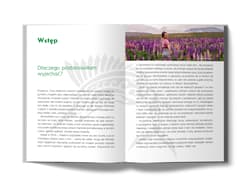 Galeria - zdjęcie nr. 3 - Nowa Zelandia. Tam, gdzie Kiwi tańczy hakę