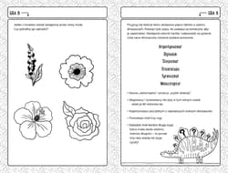 Galeria - zdjęcie nr. 5 - Nowe gry pamięciowe dla małych geniuszy