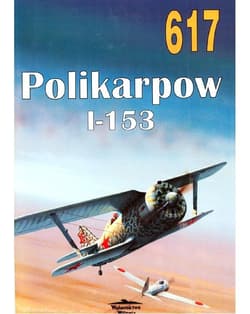 Nr 617 Polikarpow I-153 - Masłow Michaił