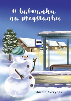 O bałwanku na przystanku - Marcin Skrzypek
