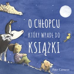 O chłopcu, który wpadł do książki - Peter Carnavas