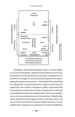 Galeria - zdjęcie nr. 3 - O człowieku część antropologiczna Lazurowej Idei