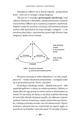 Galeria - zdjęcie nr. 5 - O człowieku część antropologiczna Lazurowej Idei