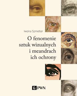 O fenomenie sztuk wizualnych i meandry ich ochrony - Iwona Szmelter