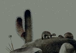 Galeria - zdjęcie nr. 4 - O Kapelusz!