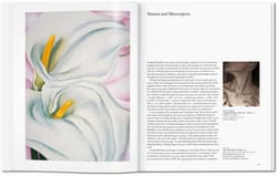 Galeria - zdjęcie nr. 5 - O'Keeffe