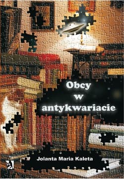 Obcy w antykwariacie - Jolanta Maria Kaleta