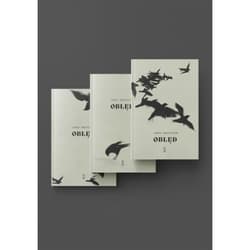 Obłęd. Tom 1-3 - Jerzy Krzysztoń