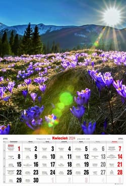 Oblężenie Warszawy. Powieść historyczna z końca XVIII w.