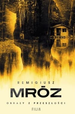 Obrazy z przeszłości Wielkie Litery - Remigiusz Mróz