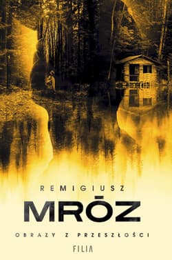 Obrazy z przeszłości wyd. specjalne - Remigiusz Mróz