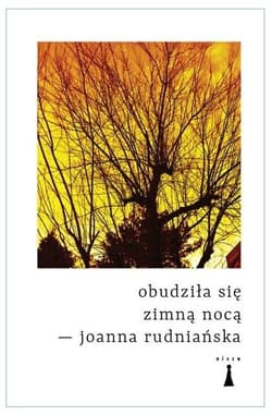 Obudziłą się zimną nocą - Joanna Rudniańska