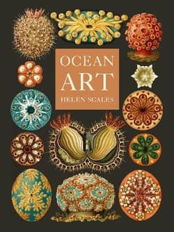 Ocean Art: From the Shore to the Deep - Helen Scales