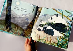 Galeria - zdjęcie nr. 5 - Od kiedy jestem twoją babcią. Od kiedy jestem