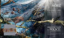 Galeria - zdjęcie nr. 3 - Od początku, czyli powstanie i rozwój życia na Ziemi