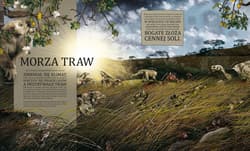 Galeria - zdjęcie nr. 5 - Od początku, czyli powstanie i rozwój życia na Ziemi