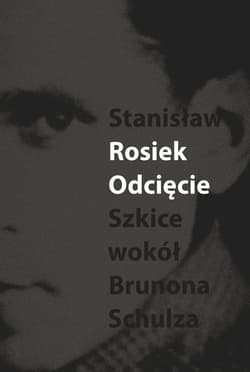 Odcięcie Szkice wokół Schulza - Stanisław Rosiek