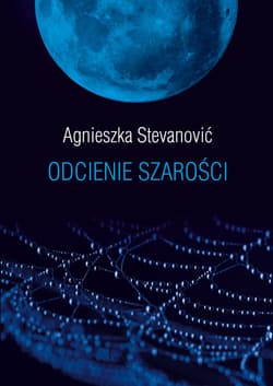 Odcienie szarości