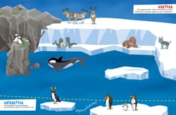 Galeria - zdjęcie nr. 2 - Odkrywaj świat z magiczną latarką